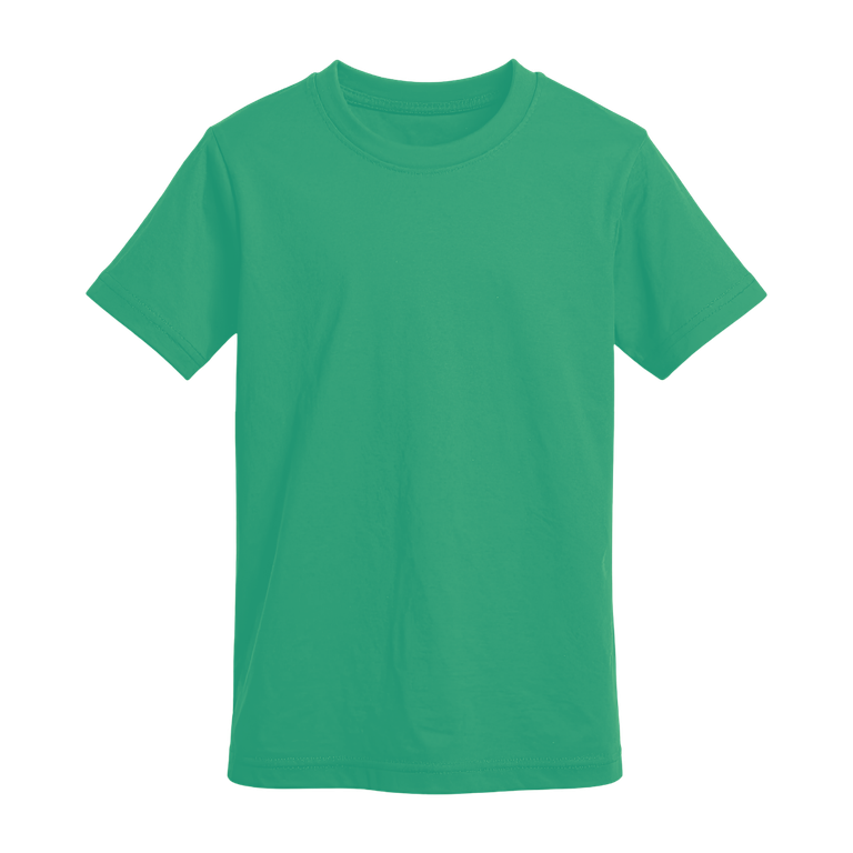 REMERA 